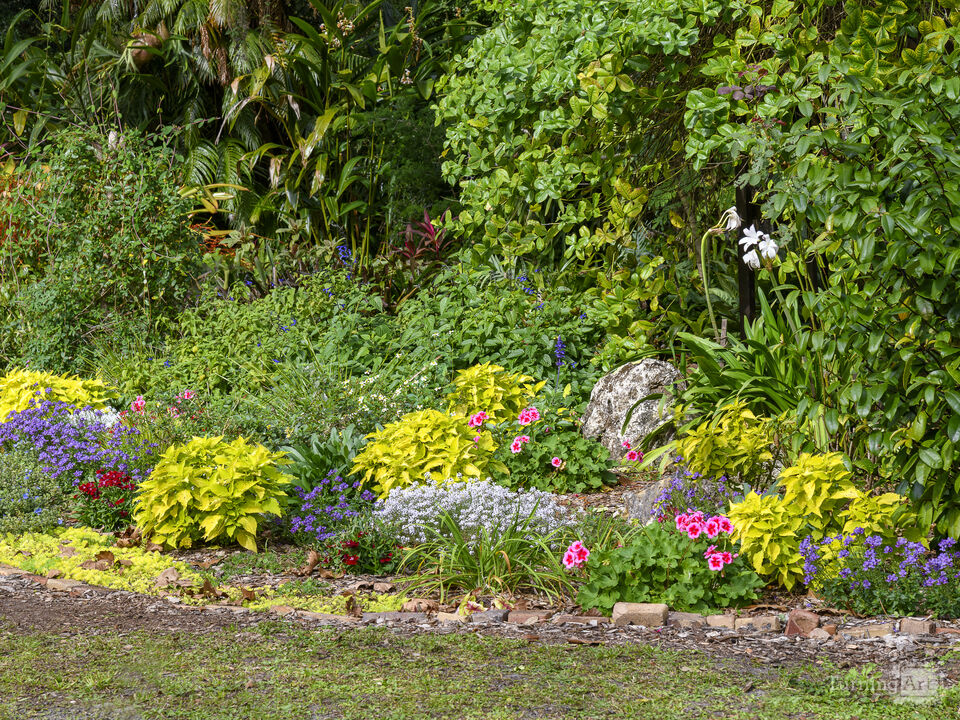 Garden with blooms