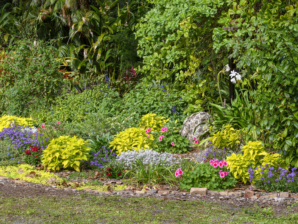 Garden with blooms