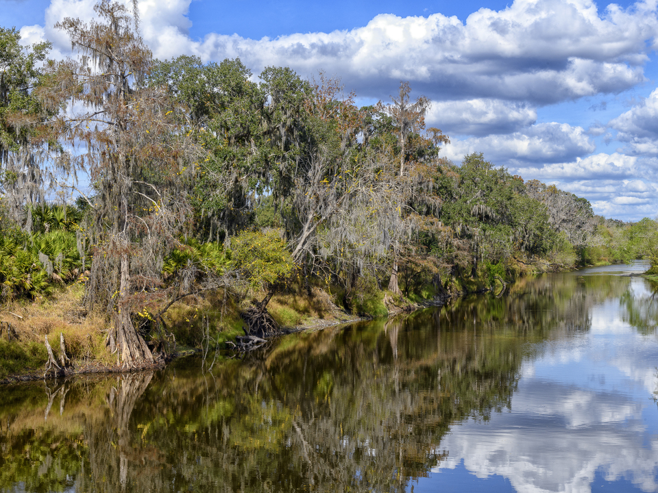 Quiet time along waters edge