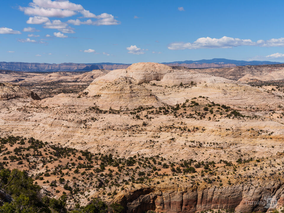Utah Calf Creek Viewpoint