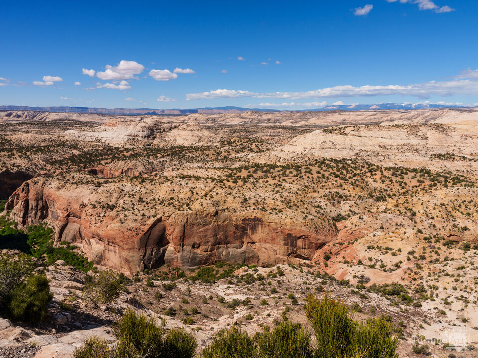 Cliffside Grandeur From Calf Creek Viewpoint