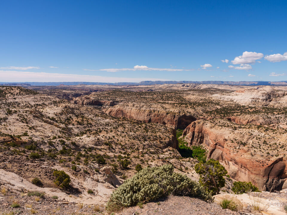 Calf Creek Cuts Through Utah