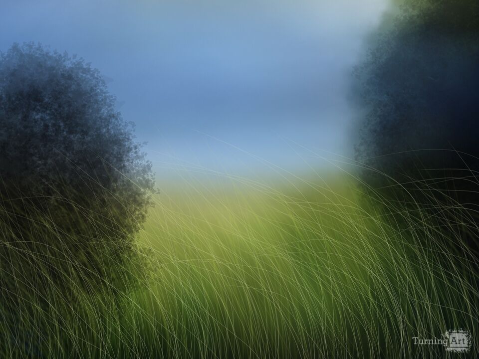 A Grass Field