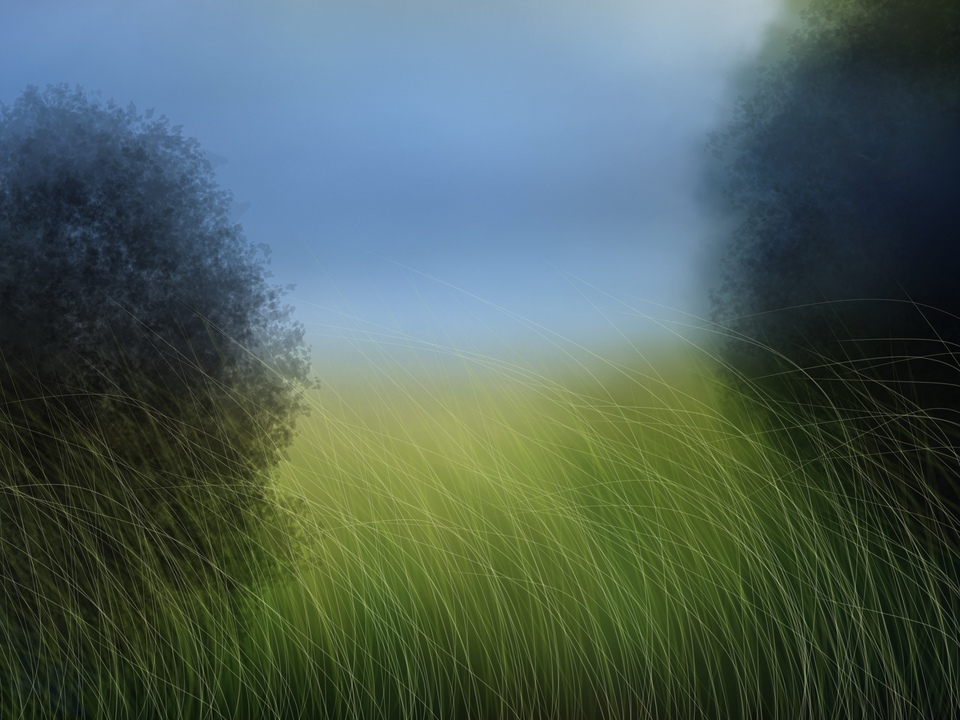 A Grass Field