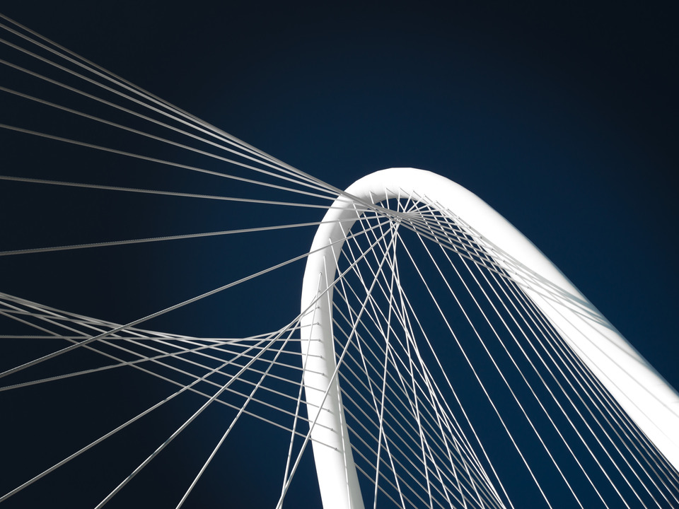 Calatrava Bridge - color_1