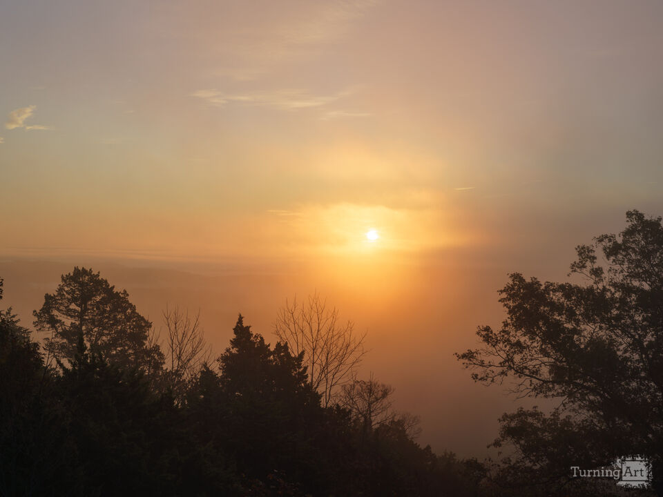 Fog And Gold Sunrise In The Ozarks