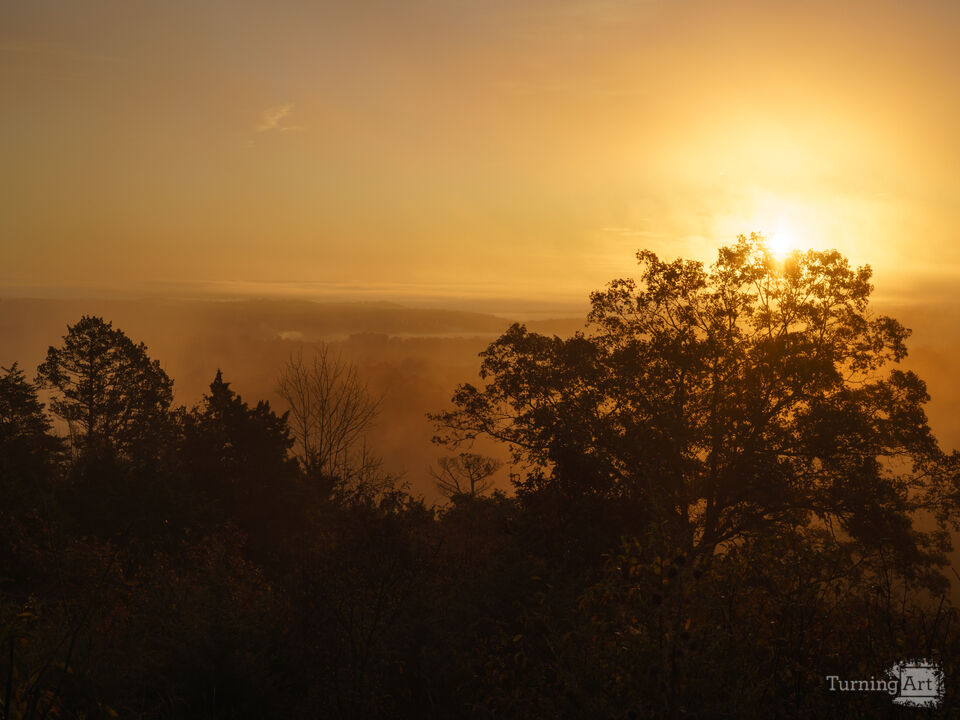 Mystical Morning Of Gold In Branson