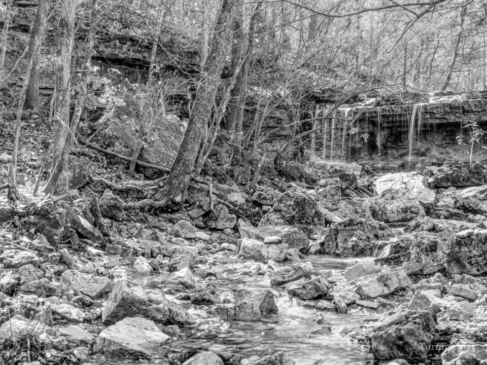 Secluded Falls Ruth And Paul Henning Grayscale