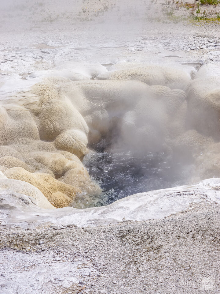 Spasmodic Geyser Yellowstone Vertical