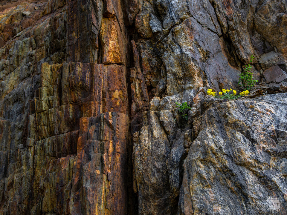 Waterton Canyon Wall