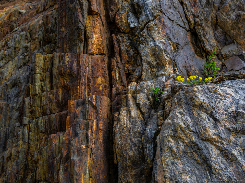 Waterton Canyon Wall