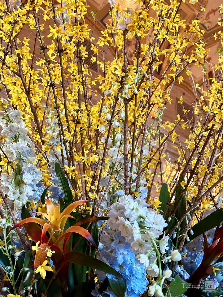 Flowers in Yellow, White, and Blue