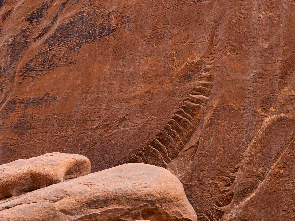 Fossil Rock