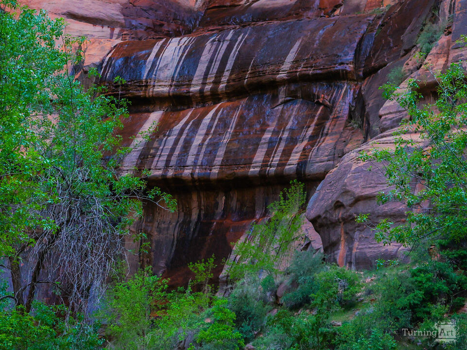 The Weeping Wall