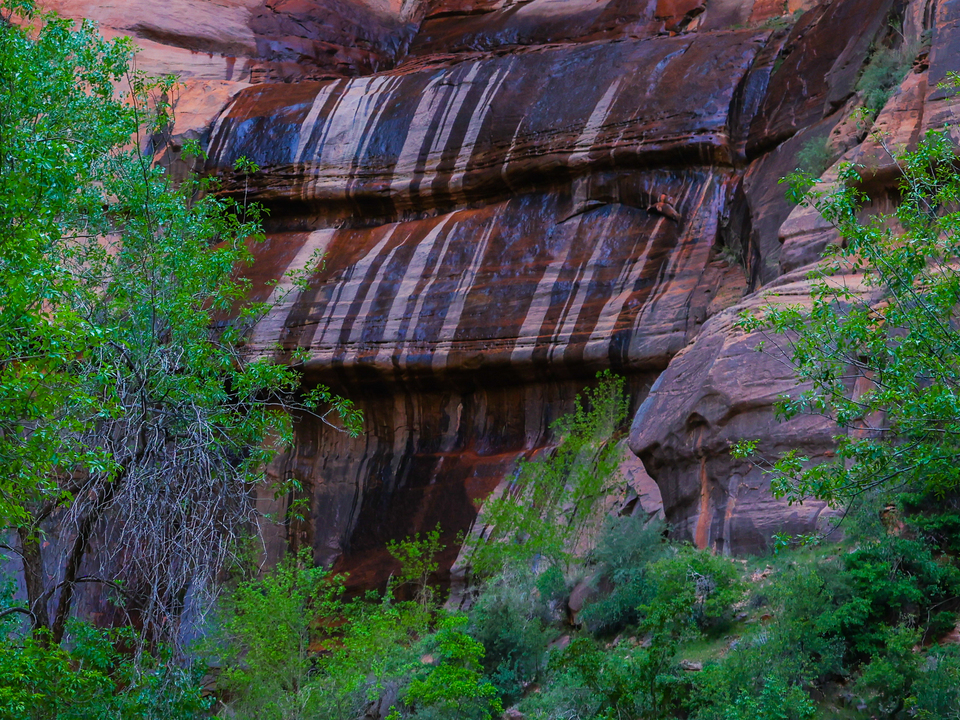 The Weeping Wall