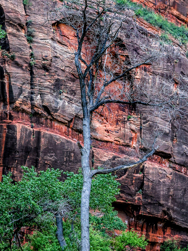 Nature's Examples