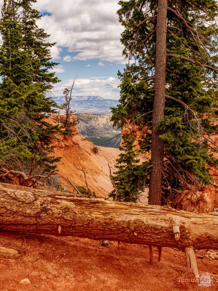 Bryce And Grand Staircase Pine Framed