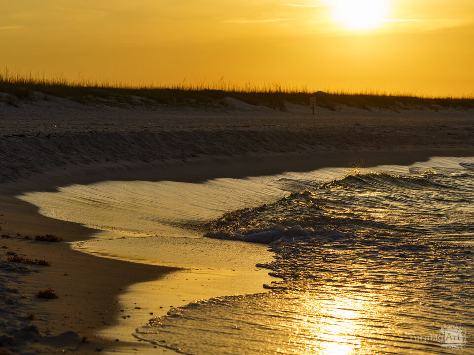 Golden Morning Of Promise