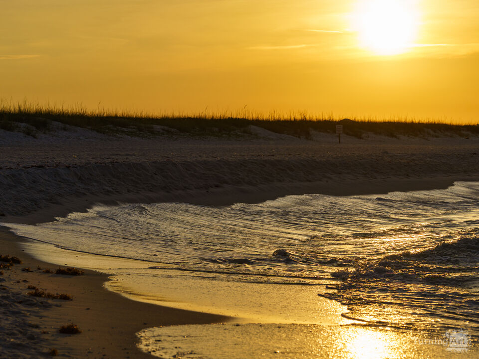 Renewed With The Gold Rising Sun