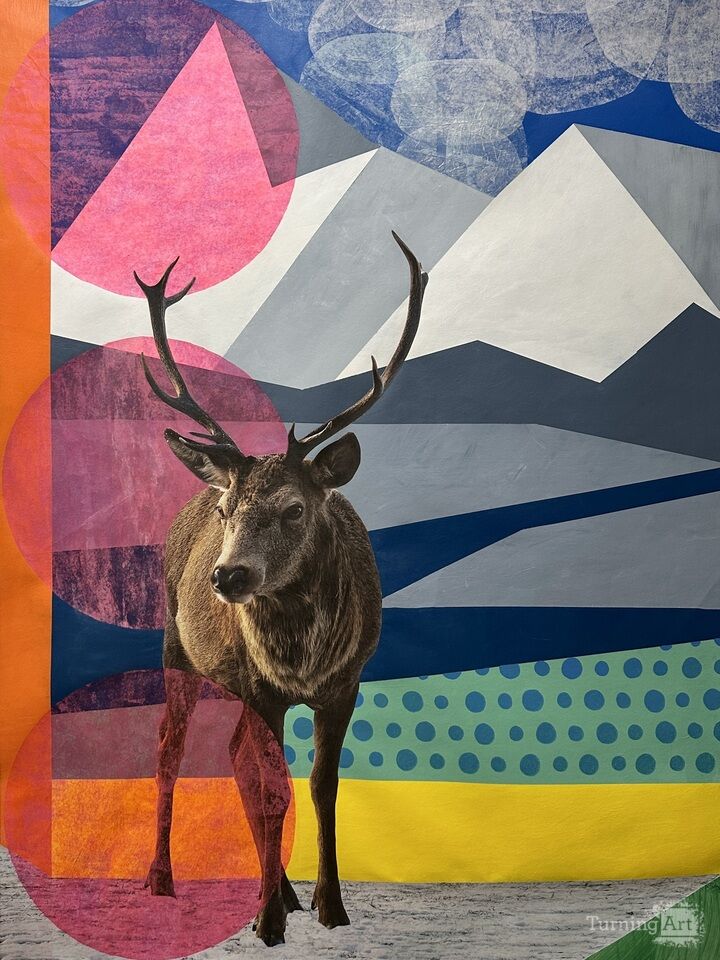 Where The Snow Line Recedes