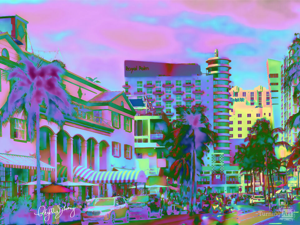 Miami Ocean Avenue Vista