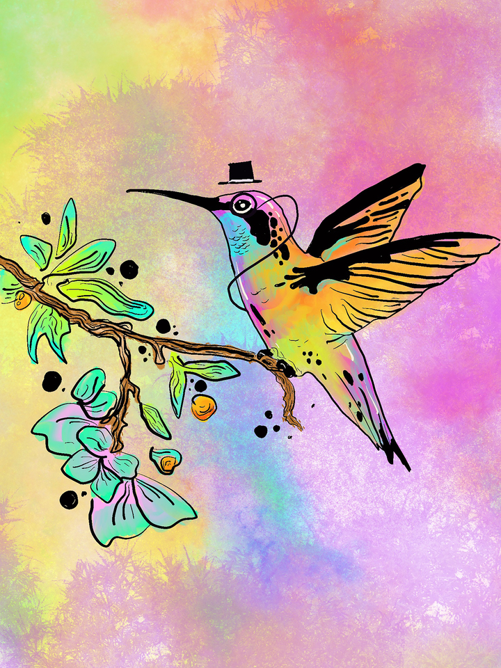 Sir Hummingbird and His Morning Perch