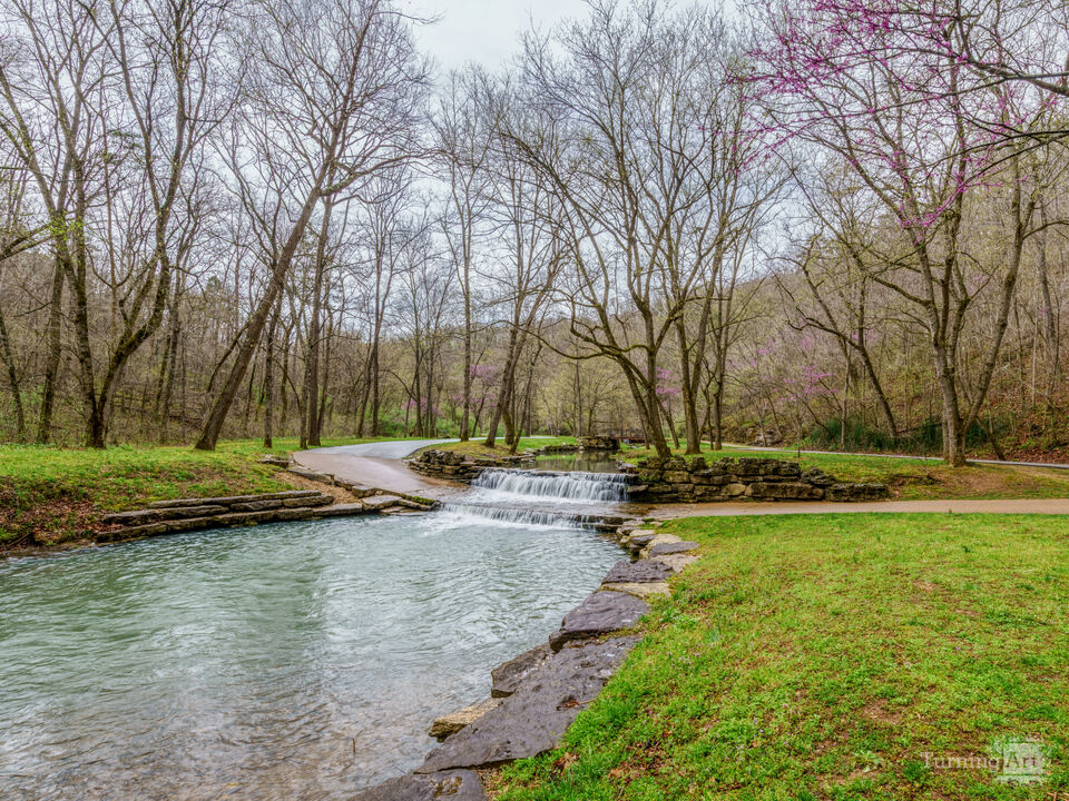 Flowing Dogwood Creek In Spring