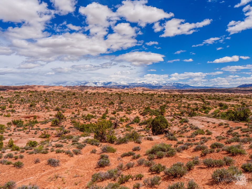 La Sal Mountains Vista From Arches