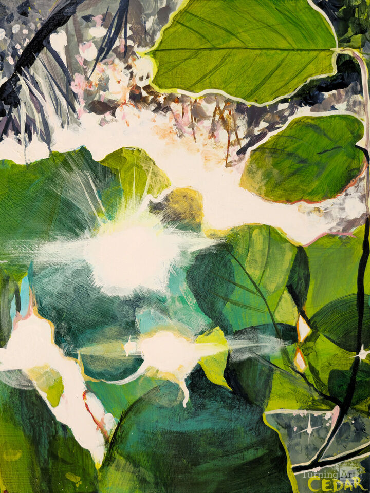 Diamond Sun Sparkles