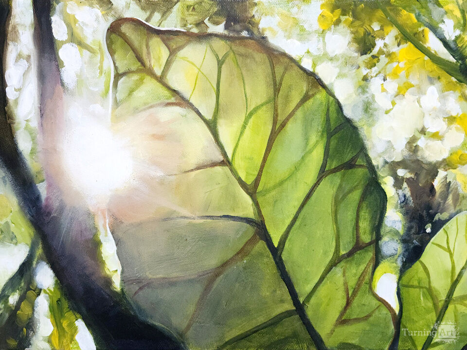 Sun Through Leaf