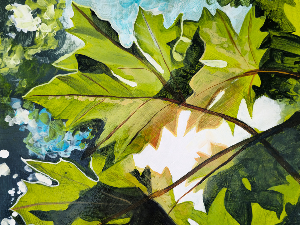 Maple Leaves and Sun