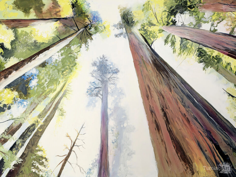 Into the Light Bright Sky