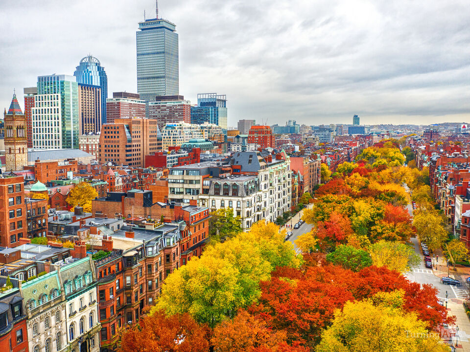 Commonwealth Ave in Autumn 