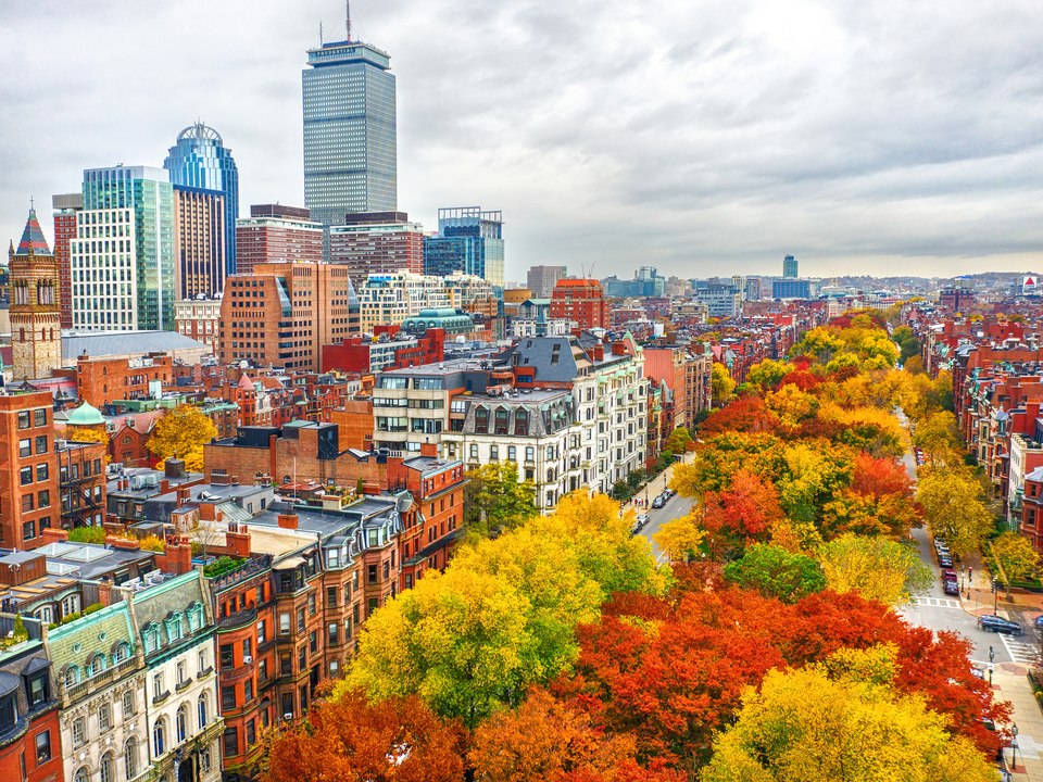 Commonwealth Ave in Autumn 