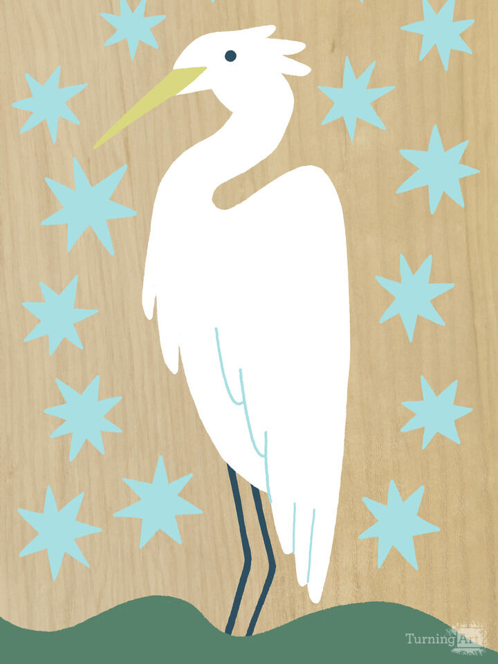 White Egret