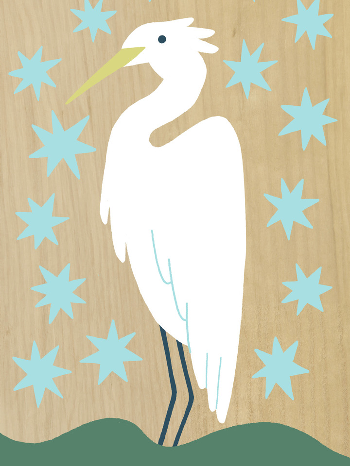 White Egret