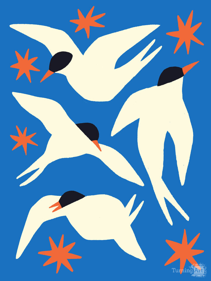 Terns