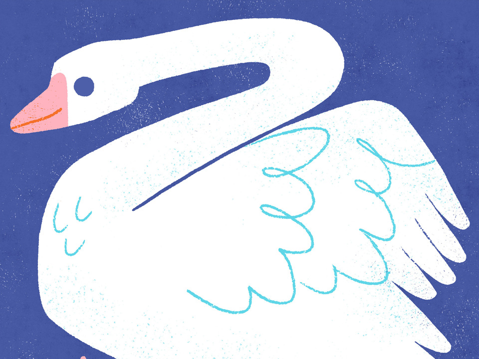 Swan