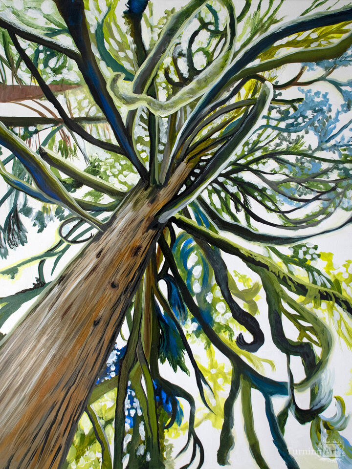 I'm Lichen These Branches!