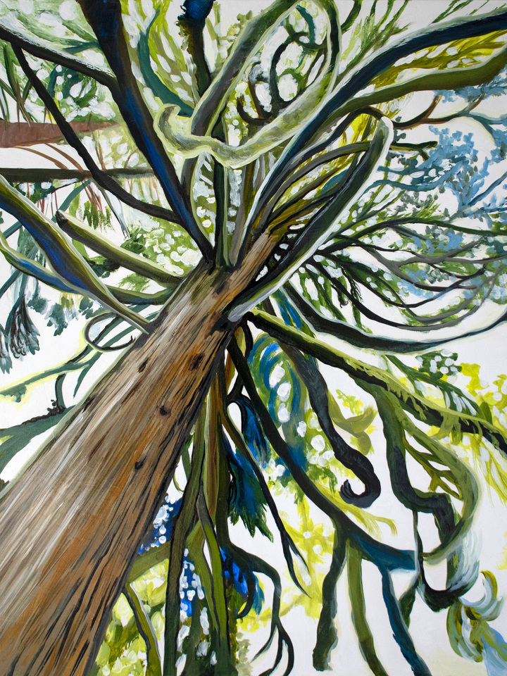 I'm Lichen These Branches!