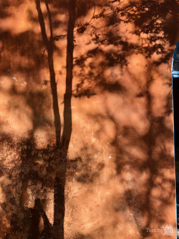 Tree Shadows, Mexico