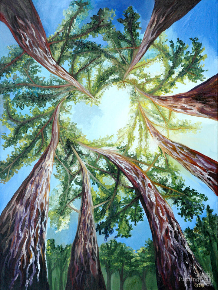 Love is in the Trees