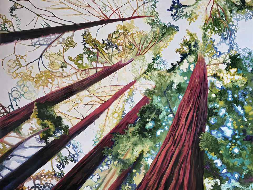 Kaleidoscopic Forest