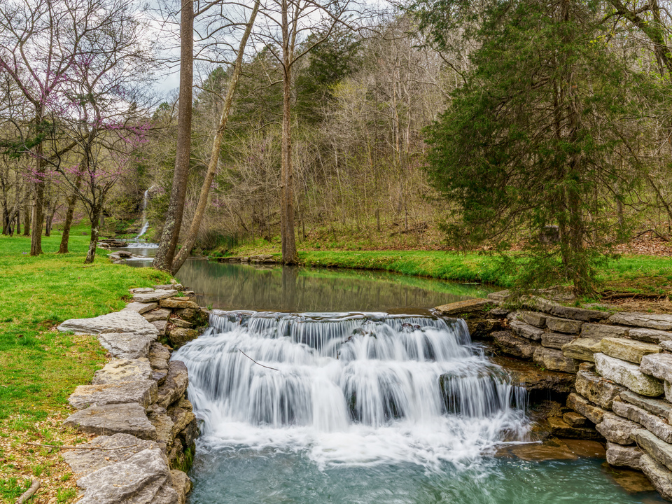 Spring Awakening Along The Creek