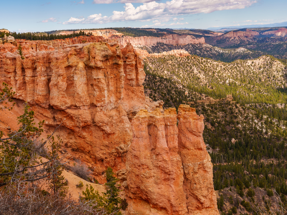 Bold Hoodoos Black Birch Canyon