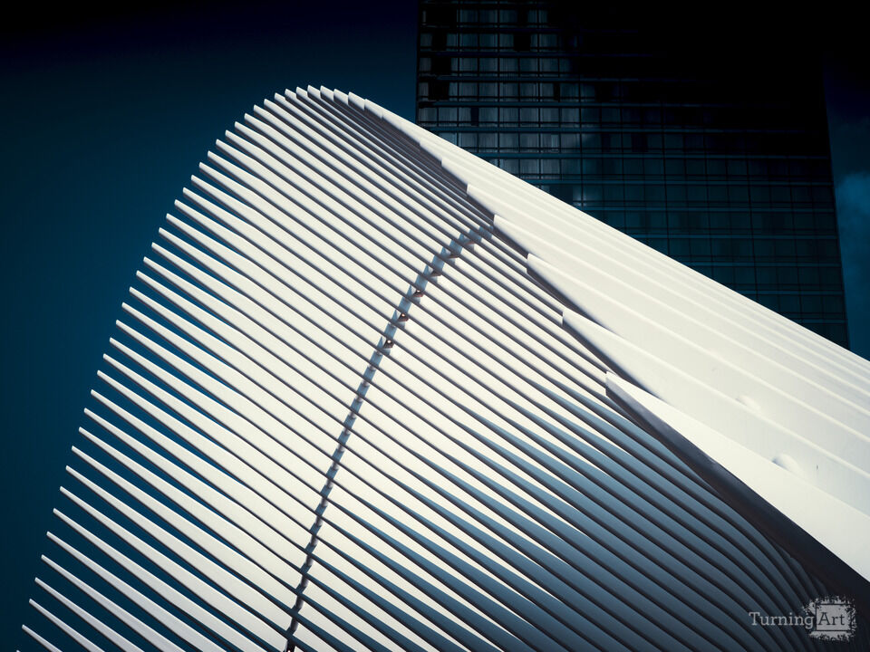 The Oculus Wings- Santiago Calatrava