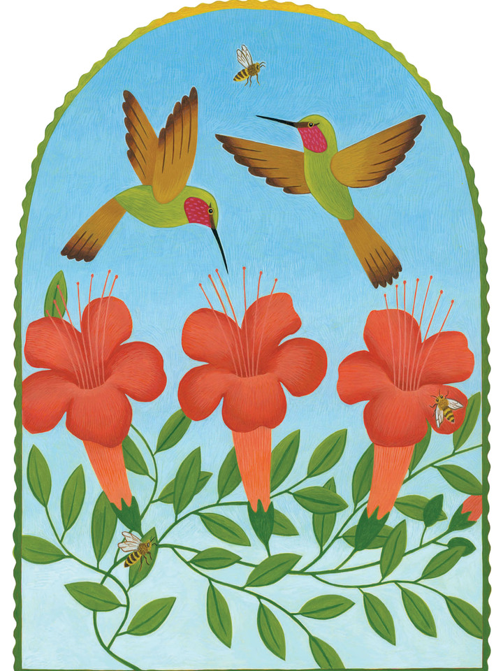 Hummingbirds and Bees