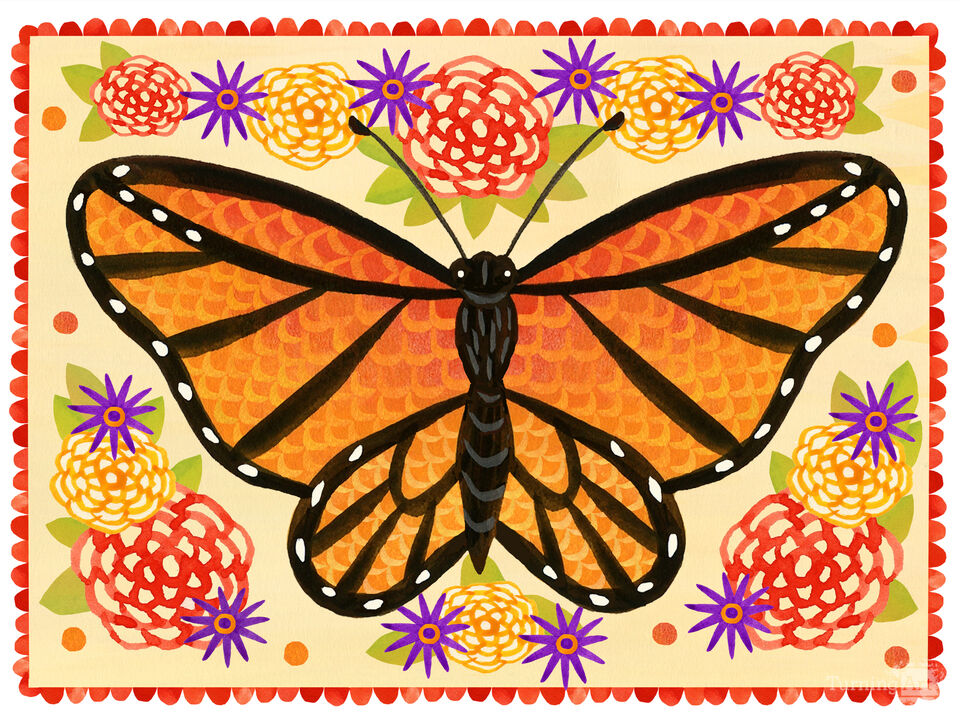 Monarch Butterfly