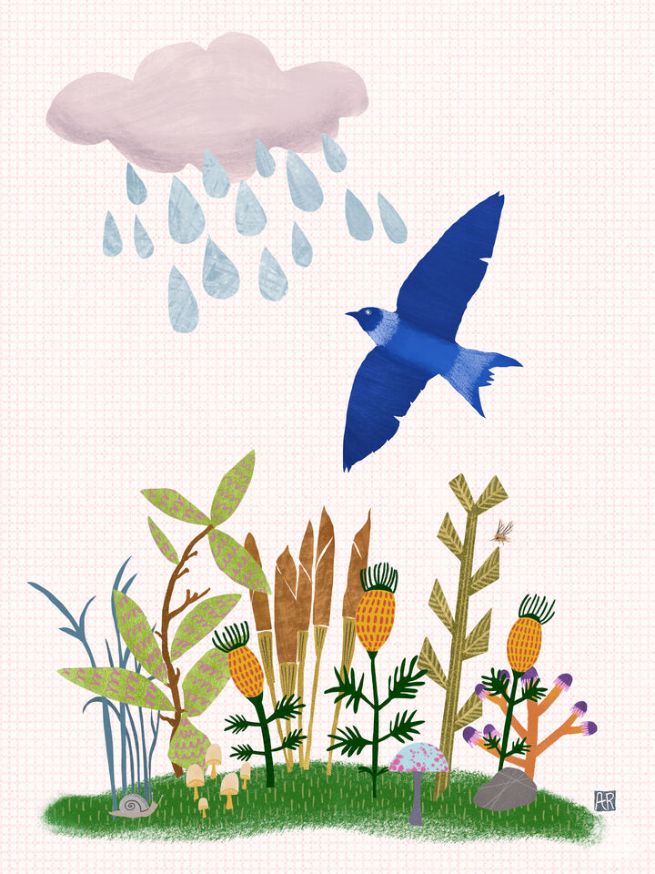 Puddle Jumper