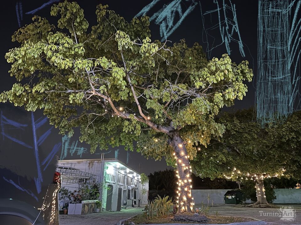 Tree and City, Bakehouse, Miami